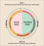 Untitled (1080 x 1350 px) (1080 x 1350 px)